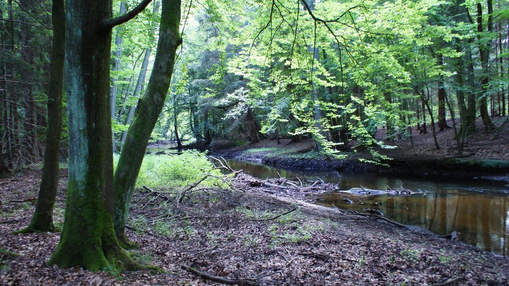 Stepnica Tawerna Panorama 아파트 외부 사진